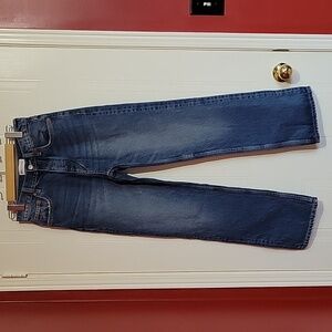 Zara Highrise Straight Leg Jeans US 2